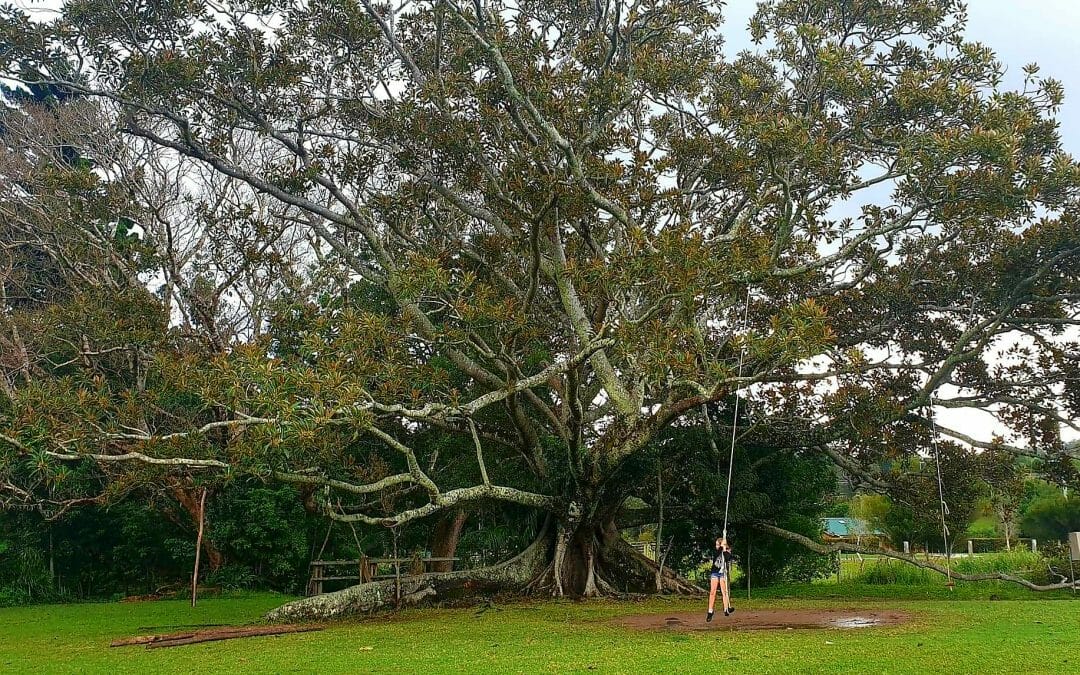 Pasture & Co, Ecovillage, Currumbin