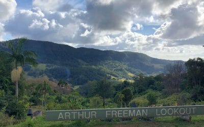 Freeman’s Organic Farm, Currumbin Valley