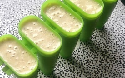 Homemade Smoothie Ice Creams