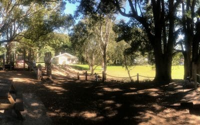 Bangalow Weir Parklands – nature play, Bangalow