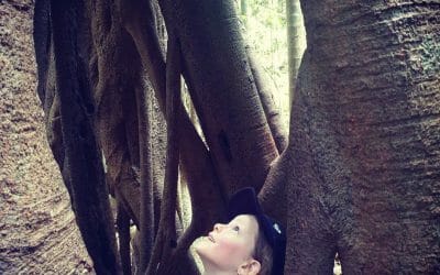 Bushwalking with Kids