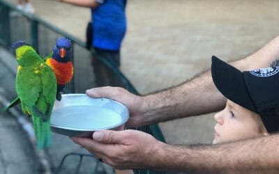 Cheap and Free Things to do with Kids!