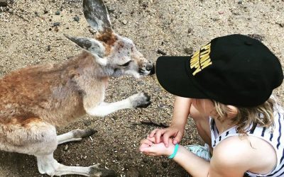 Currumbin Wildlife Sanctuary