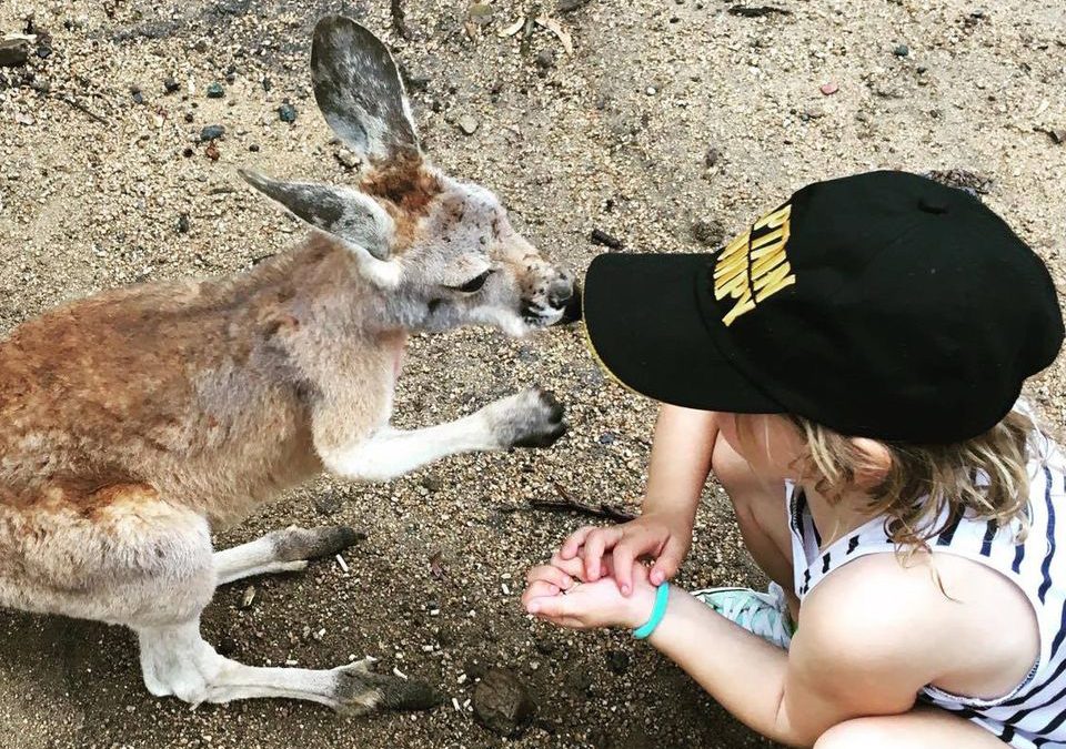 Currumbin Wildlife Sanctuary