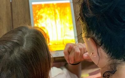 Parenting through the Bushfire Crisis