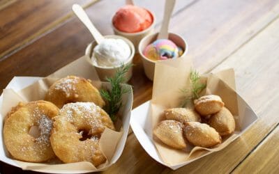 Inky Squid, Terranora