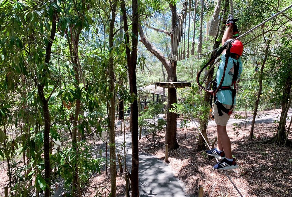 Treetop Challenge at Currumbin Wildlife Sanctuary